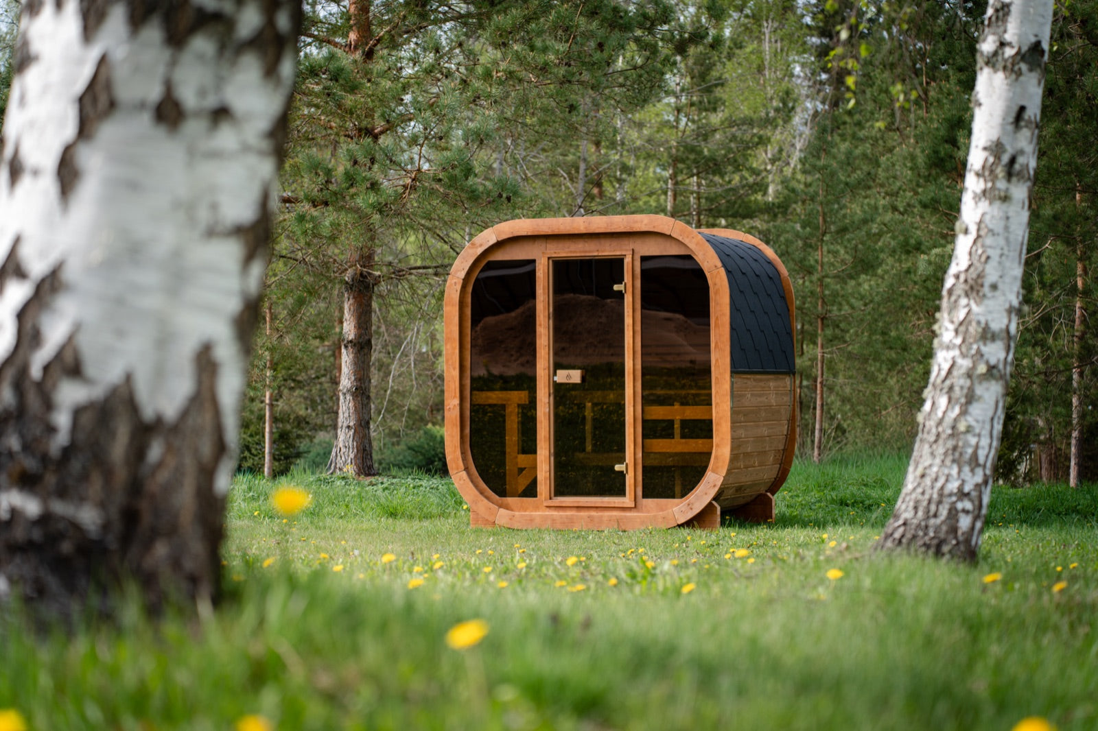 Max Traditional Sauna 2.0 between birch trees